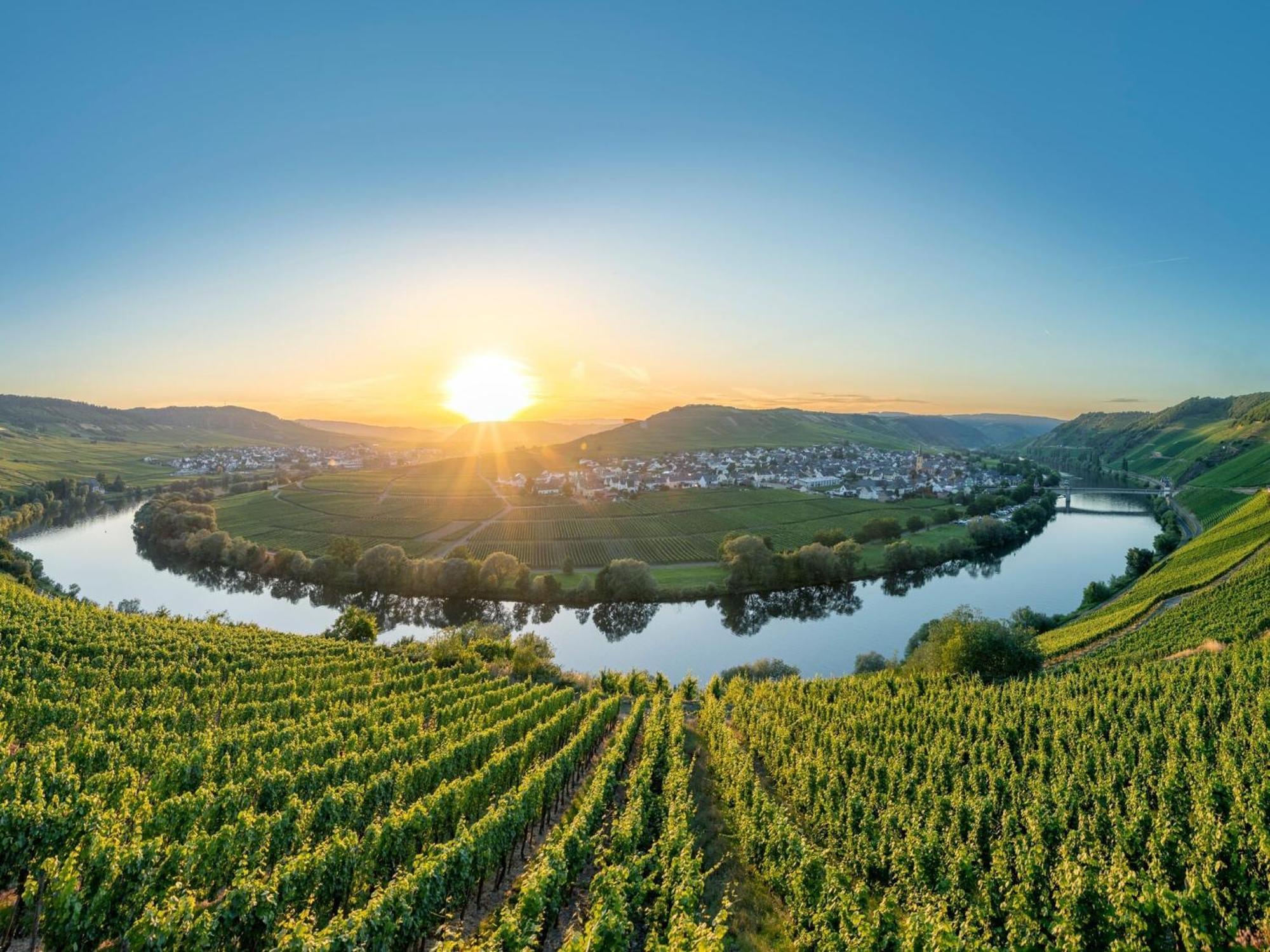 Holiday Home In The Eifel-Mosel With Garden Roes Exterior photo